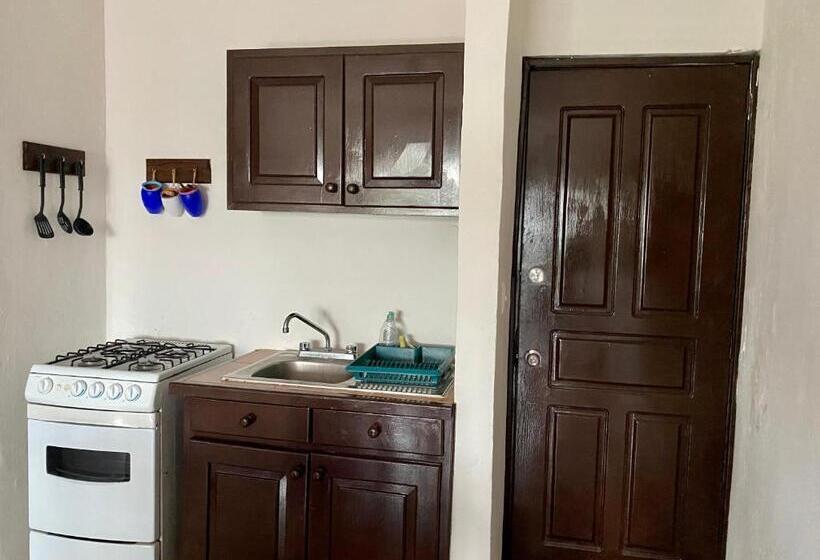 バルコニー付き１ベッドルームアパートメント, Casa Caribe Cancun