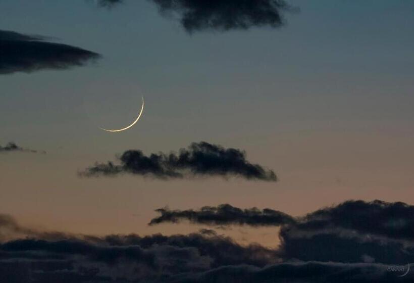 اتاق کلاسیک سه تخته, Maxim