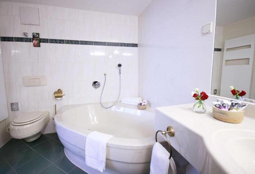 スイート, Mercure Hotel Riesa Dresden Elbland