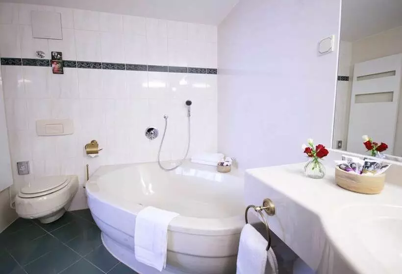 スイート, Mercure Hotel Riesa Dresden Elbland