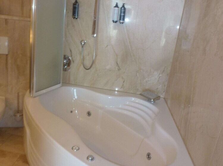 Люкс, Mercure Hotel Riesa Dresden Elbland
