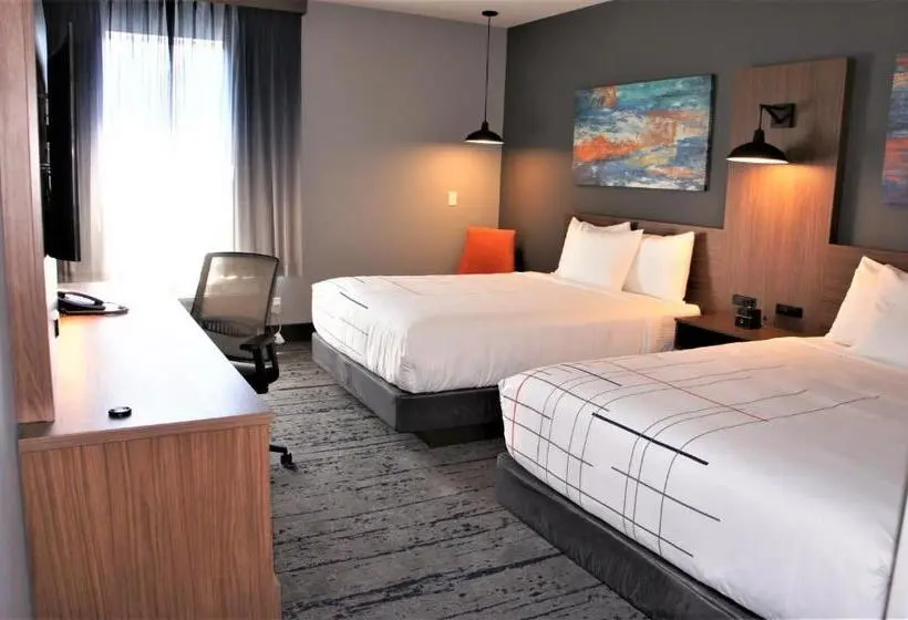 身障者適用スタンダードルーム, La Quinta Inn & Suites By Wyndham Marysville