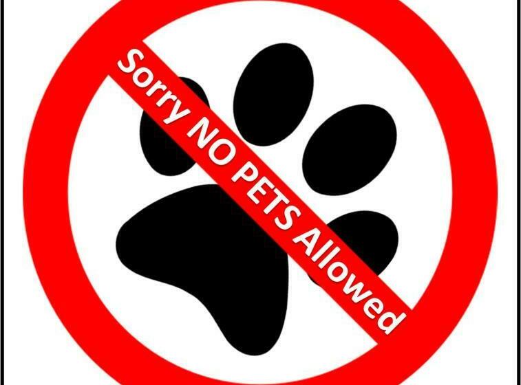 标准工作室, Basecamp Suites Canmore