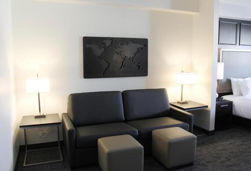 キングサイズベッドのスタンダードルーム, Best Western Plus Winkler