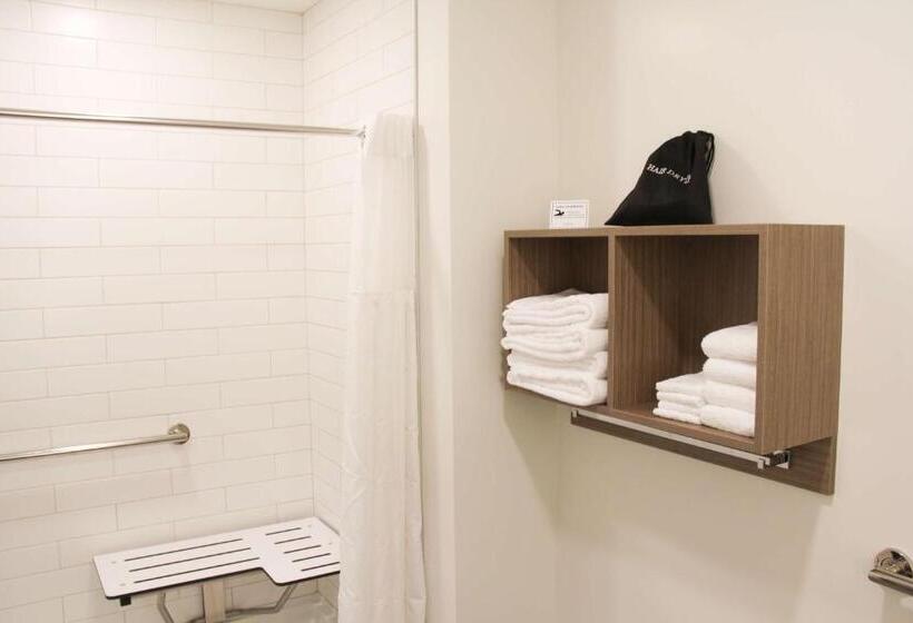 身障者適用スイートルーム, Best Western Plus Winkler