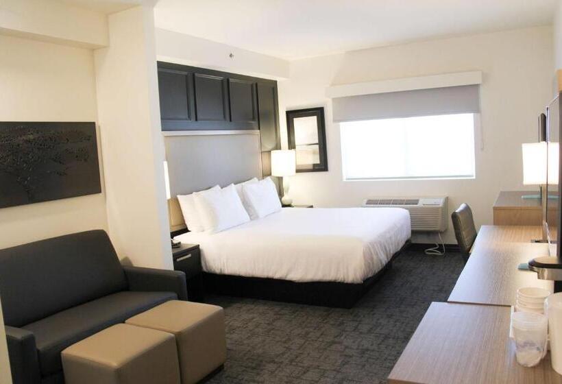 身障者適用スイートルーム, Best Western Plus Winkler