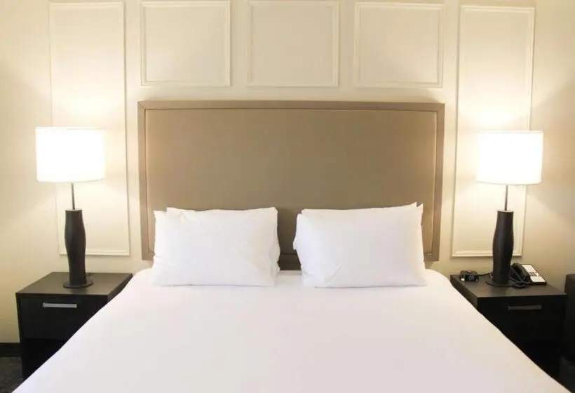 １ベッドルームアパートメント, Best Western Plus Winkler