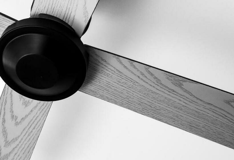 スタンダードルーム, Zadig