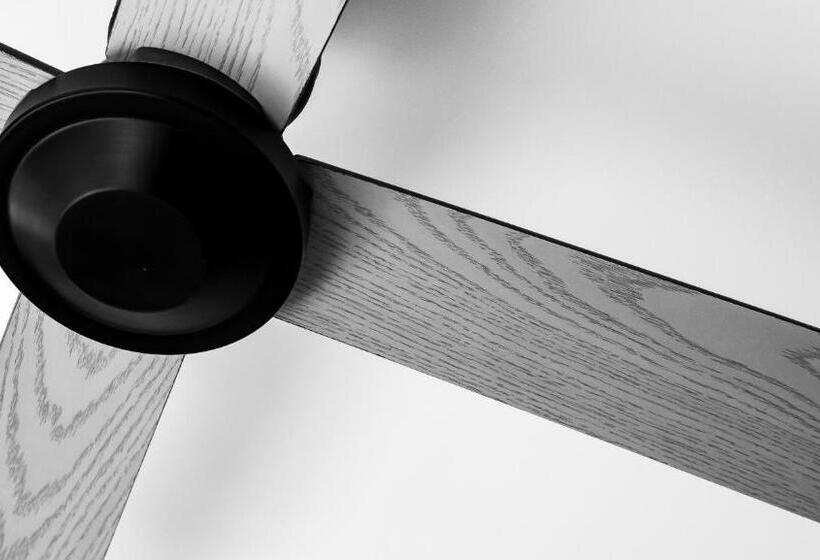 ファミリールーム, Zadig