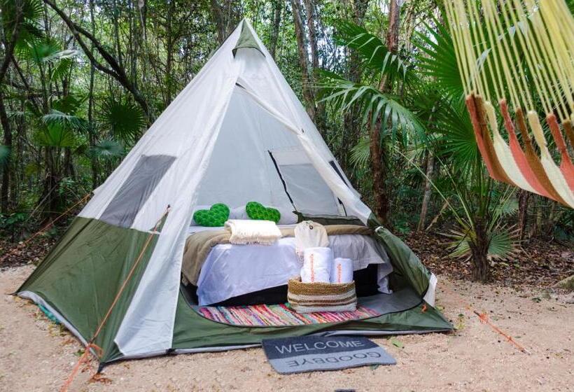 חדר משפחתי, Rotamundos Mama Loomm