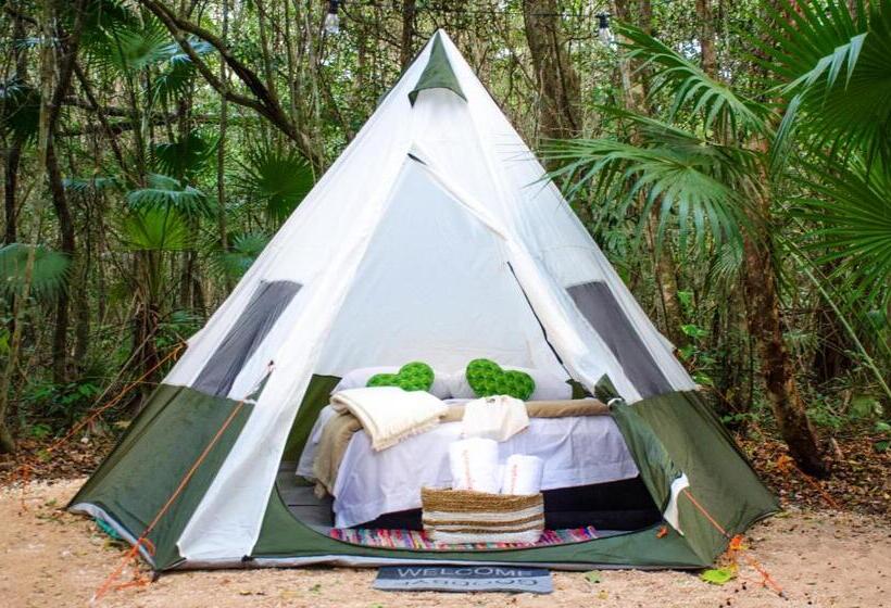 חדר משפחתי, Rotamundos Mama Loomm