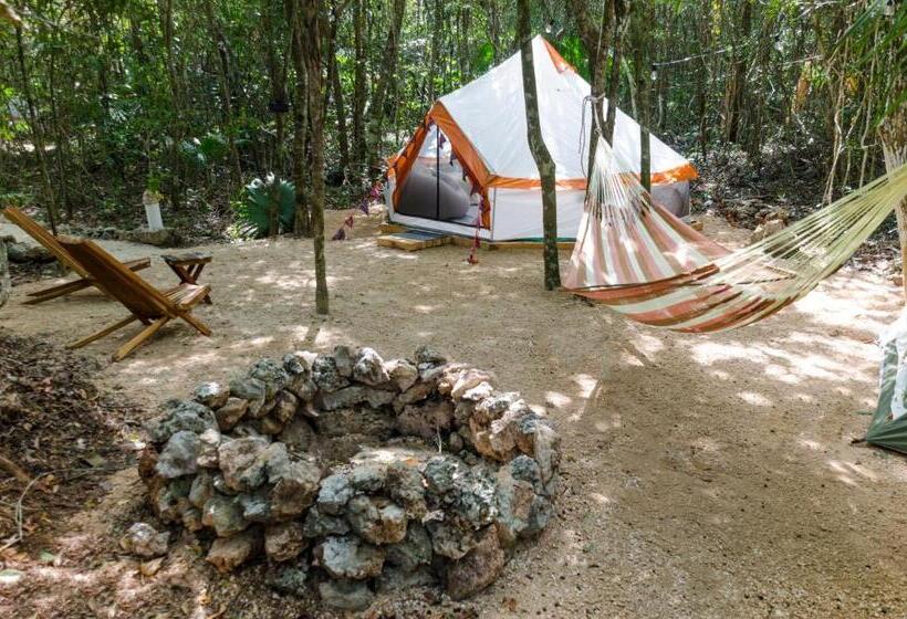 חדר משפחתי, Rotamundos Mama Loomm