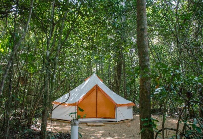 חדר משפחתי, Rotamundos Mama Loomm