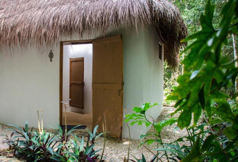 חדר סטנדרט, Rotamundos Mama Loomm