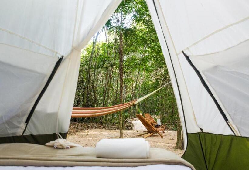 חדר סטנדרט, Rotamundos Mama Loomm