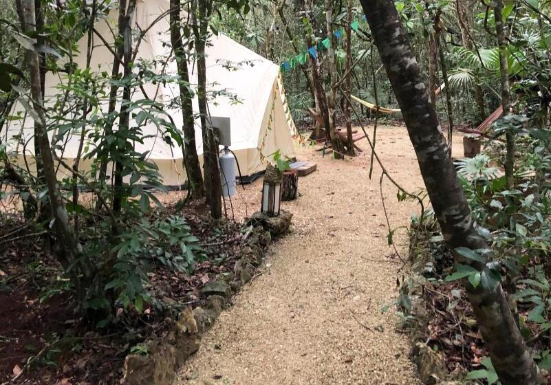 חדר משפחתי, Rotamundos Mama Loomm