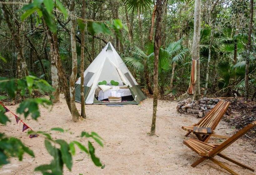 חדר סטנדרט, Rotamundos Mama Loomm