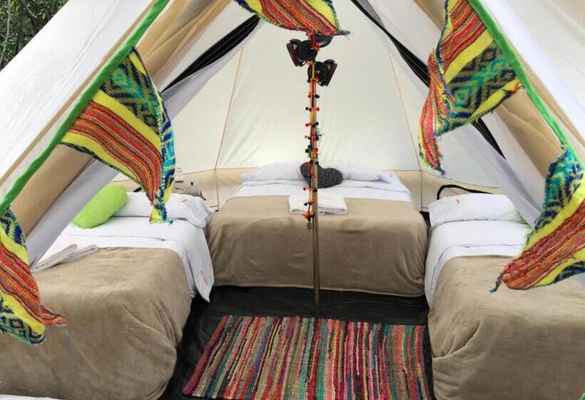 חדר משפחתי, Rotamundos Mama Loomm