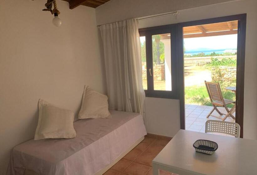 آپارتمان 1 خوابه, Apartamentos Vista Vedrá