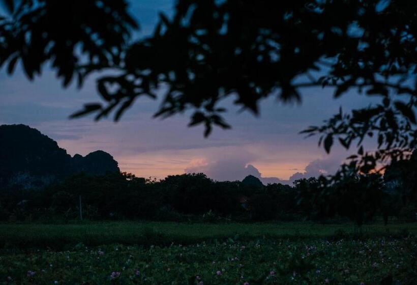 ویلای 1 خوابه, Aravinda Resort Ninh Binh