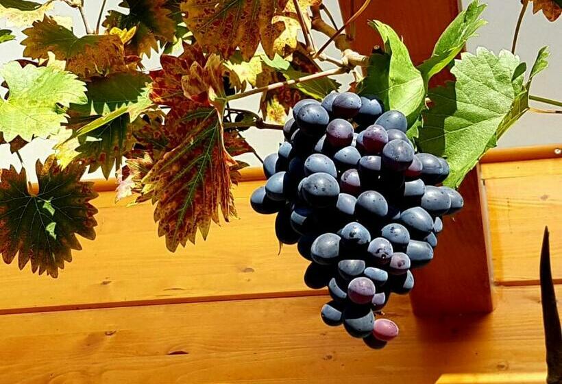 غرفة قياسية مزوَّدة بشُرفة, Cafe & Pension Carmen