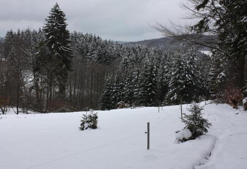 غرفة قياسية مزوَّدة بشُرفة, Cafe & Pension Carmen