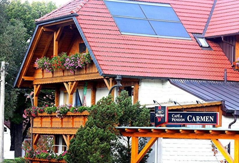 غرفة قياسية, Cafe & Pension Carmen