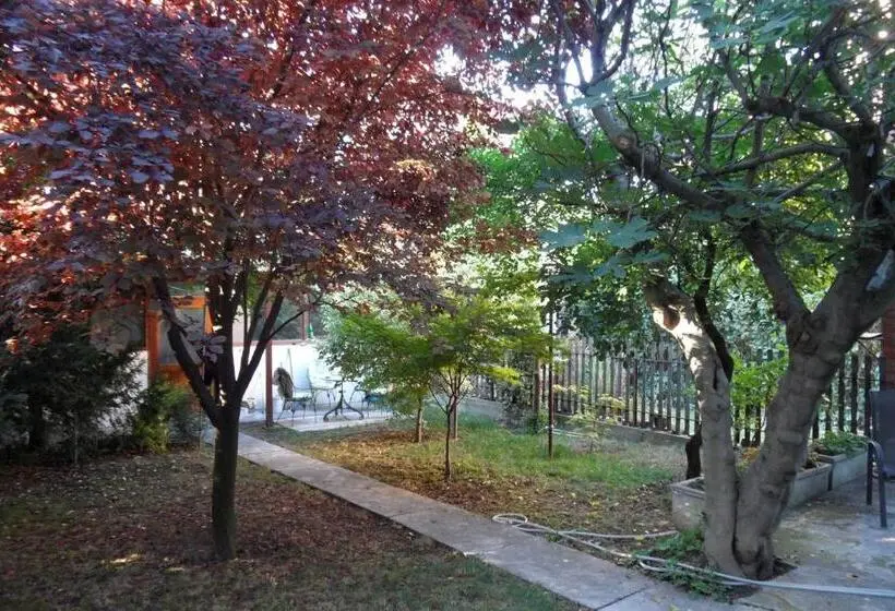 استودیوی استاندارد, Hostel Oasis