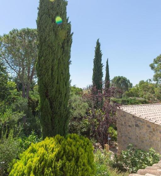 スタンダードルーム, Le Mas Des Alexandrins