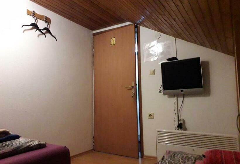 اتاق استاندارد با سرویس بهداشتی مشترک, Hostel Topić