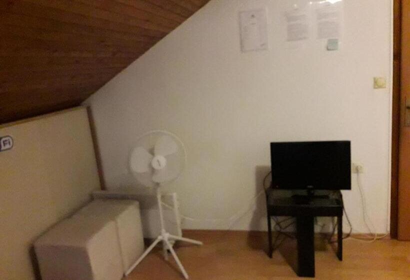 اتاق استاندارد با سرویس بهداشتی مشترک, Hostel Topić