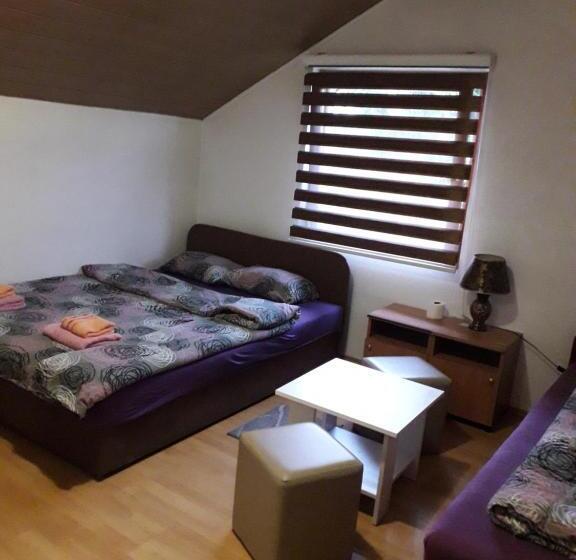 اتاق خانوادگی, Hostel Topić