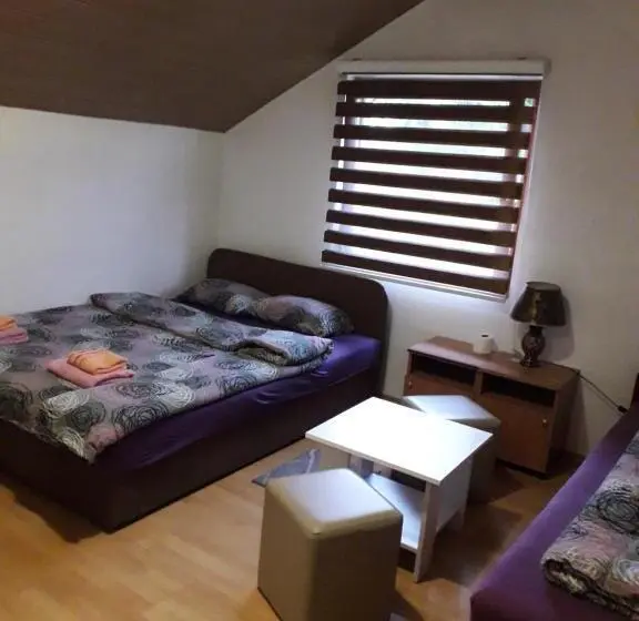 اتاق خانوادگی, Hostel Topić