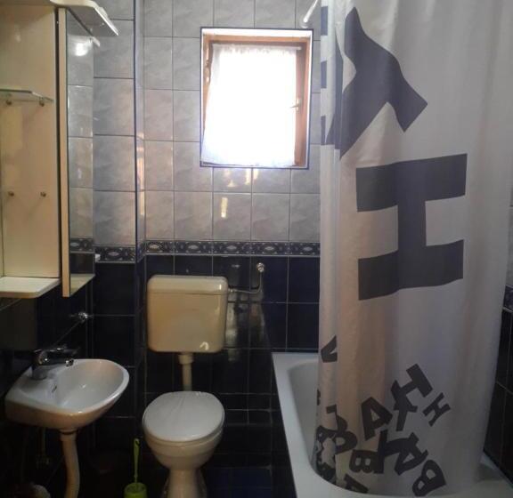 اتاق خانوادگی, Hostel Topić