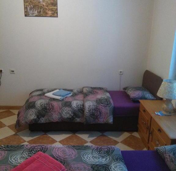 اتاق استاندارد با سرویس بهداشتی مشترک, Hostel Topić