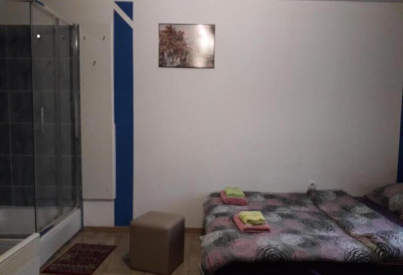 اتاق استاندارد با سرویس بهداشتی مشترک, Hostel Topić