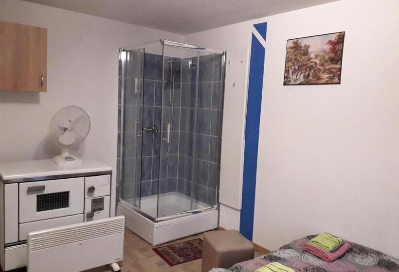 اتاق استاندارد با سرویس بهداشتی مشترک, Hostel Topić