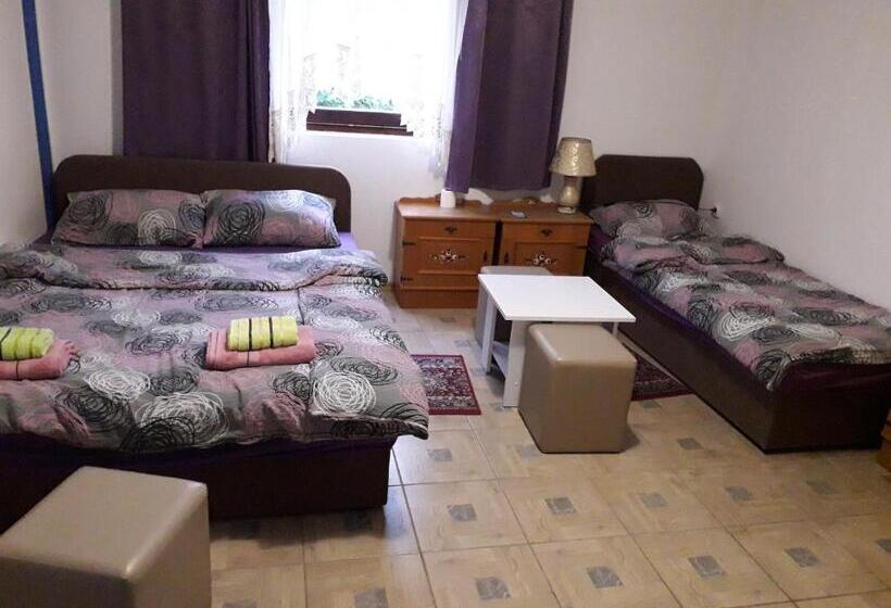 اتاق استاندارد با سرویس بهداشتی مشترک, Hostel Topić
