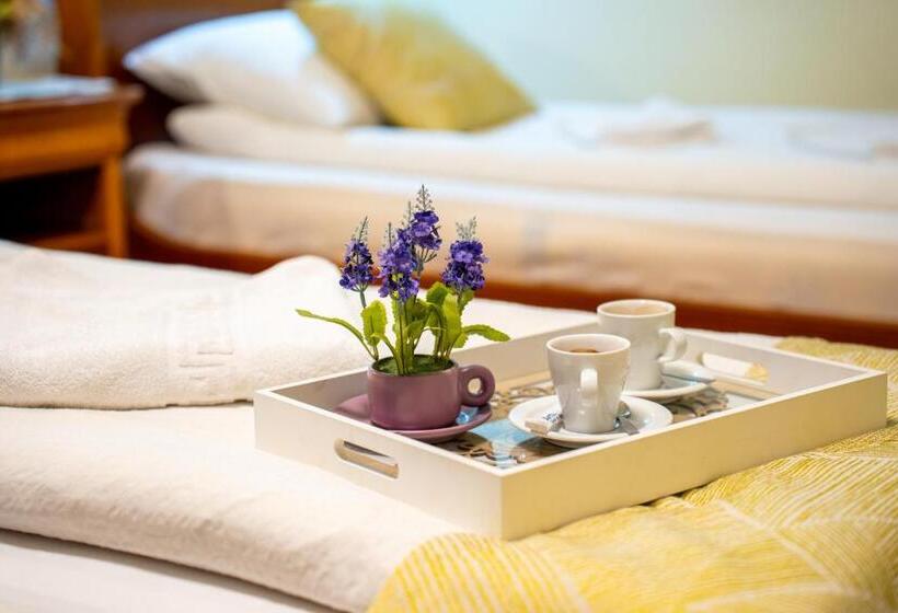 غرفة قياسية, Lilla Panzió