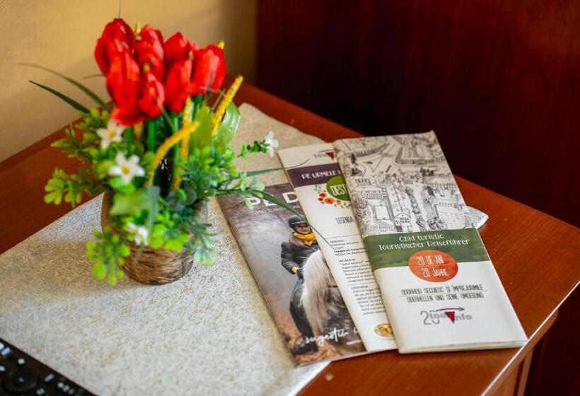 غرفة قياسية, Lilla Panzió