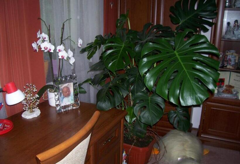 침실 2개 아파트, Júlia Vendégház