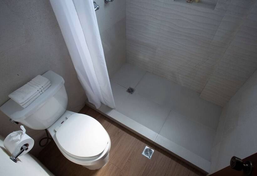 带2个双人床的标准工作室, Best Western Centro Monterrey