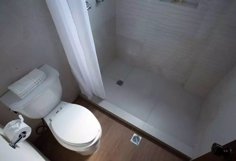 ２ダブルベッドのスタンダードルーム, Best Western Centro Monterrey