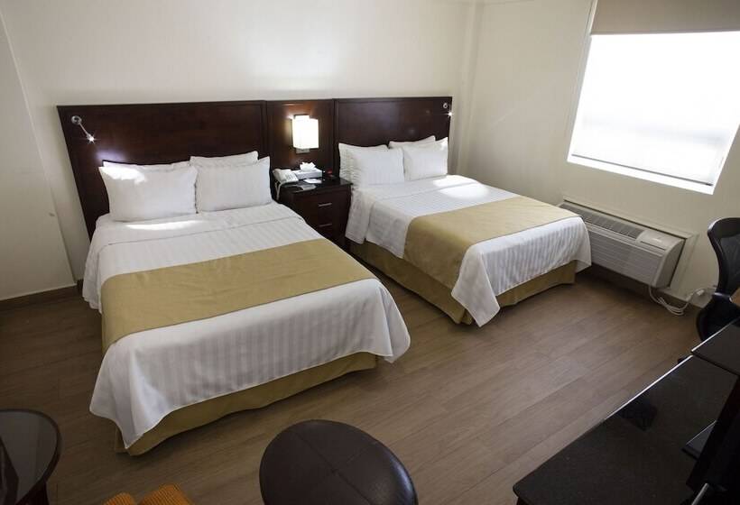 带2个双人床的标准工作室, Best Western Centro Monterrey