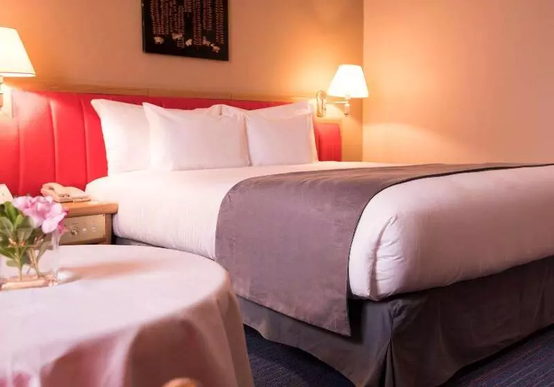 اتاق سوپریور, Mercure Alger Aeroport