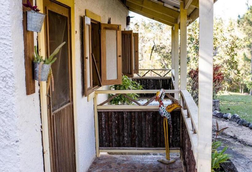 חדר דלוקס, Pine Ridge Lodge