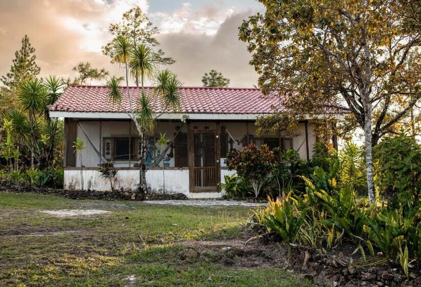 חדר דלוקס, Pine Ridge Lodge