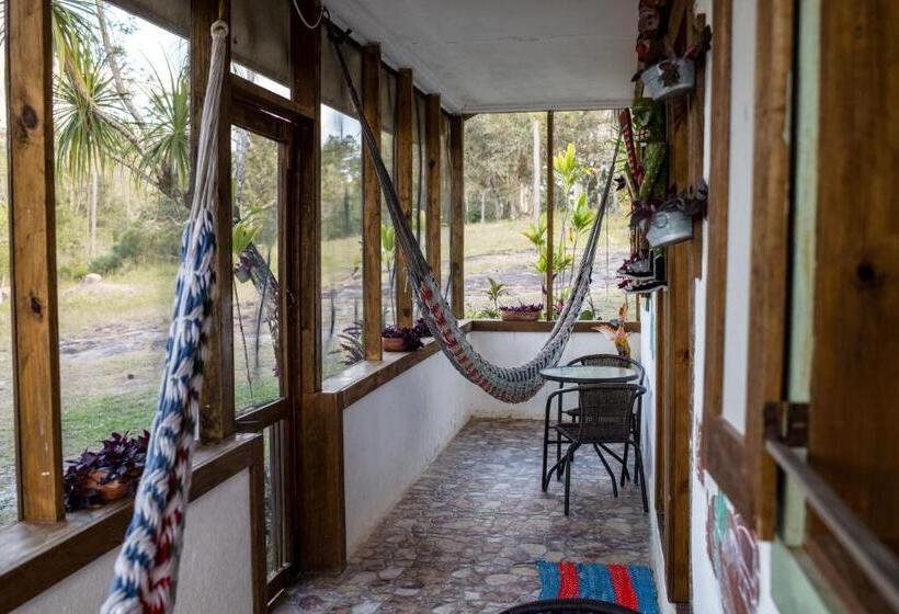 اتاق لوکس, Pine Ridge Lodge