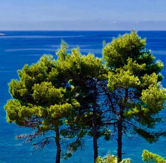 اتاق سه نفره دلوکس با چشم‌انداز دریا, Apartmani Maja