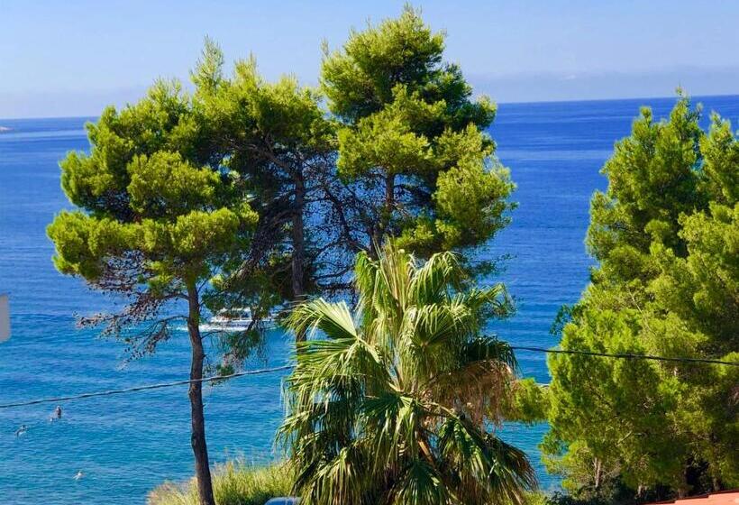 اتاق لوکس, Apartmani Maja